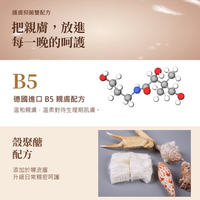 康乃馨貼心褲L-XL原版商說第2頁